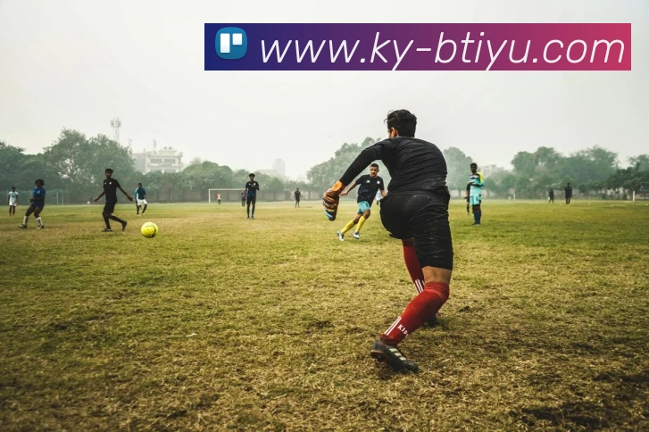 B体育APP 封面图